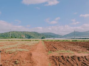 Página de Repetitivos e IACs Anotados inclui julgados sobre taxa de ocupação em terreno da Marinha