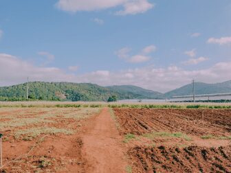 Página de Repetitivos e IACs Anotados inclui julgados sobre taxa de ocupação em terreno da Marinha