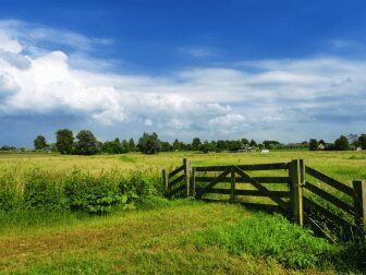 Para Primeira Turma, não incide Imposto Territorial Rural sobre imóvel com registro cancelado