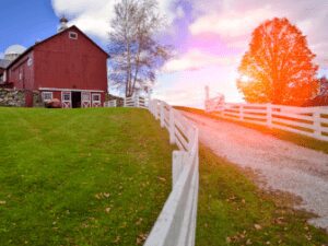 Repetitivo vai definir se as obrigacoes ambientais tem natureza propter rem