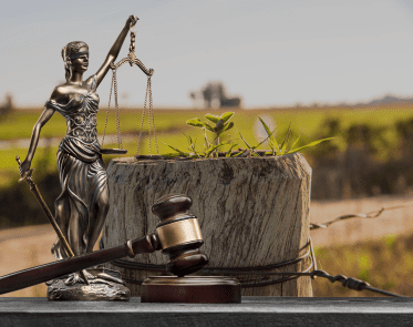 REINTEGRACAO DE POSSE