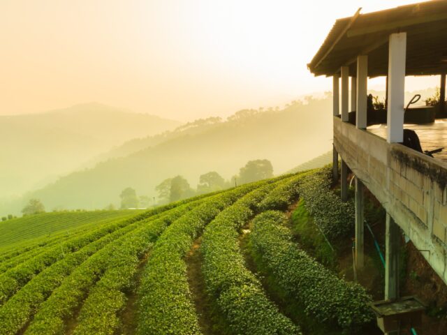 Paisagem de propriedade rural utilizada para ilustrar a classificação dos imóveis rurais em minifúndio, pequena, média e grande propriedade