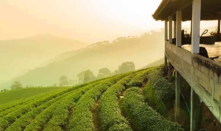 Paisagem de propriedade rural utilizada para ilustrar a classificação dos imóveis rurais em minifúndio, pequena, média e grande propriedade
