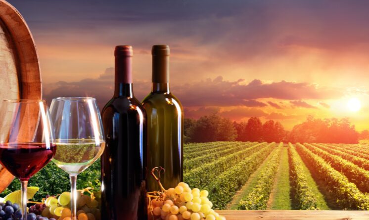 Módulo rural e fração mínima de parcelamento em imóvel rural